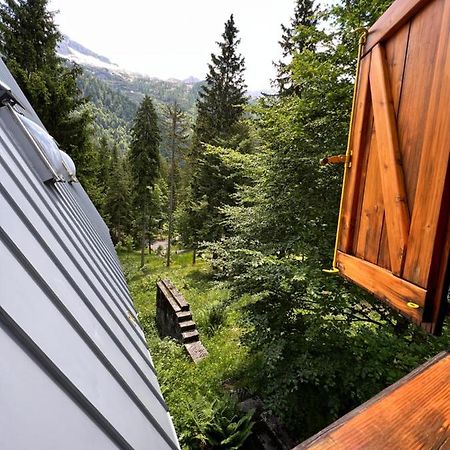 ~Chalet_Rifugio Tra I Boschi~ Sella Nevea Dış mekan fotoğraf