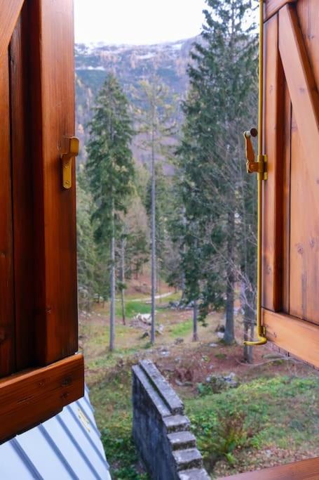 ~Chalet_Rifugio Tra I Boschi~ Sella Nevea Dış mekan fotoğraf