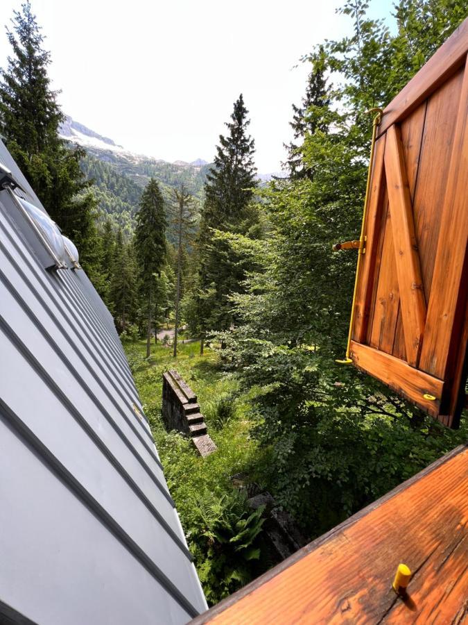~Chalet_Rifugio Tra I Boschi~ Sella Nevea Dış mekan fotoğraf