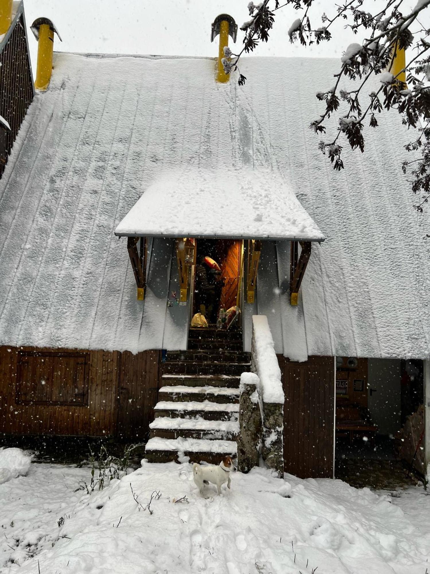 ~Chalet_Rifugio Tra I Boschi~ Sella Nevea Dış mekan fotoğraf