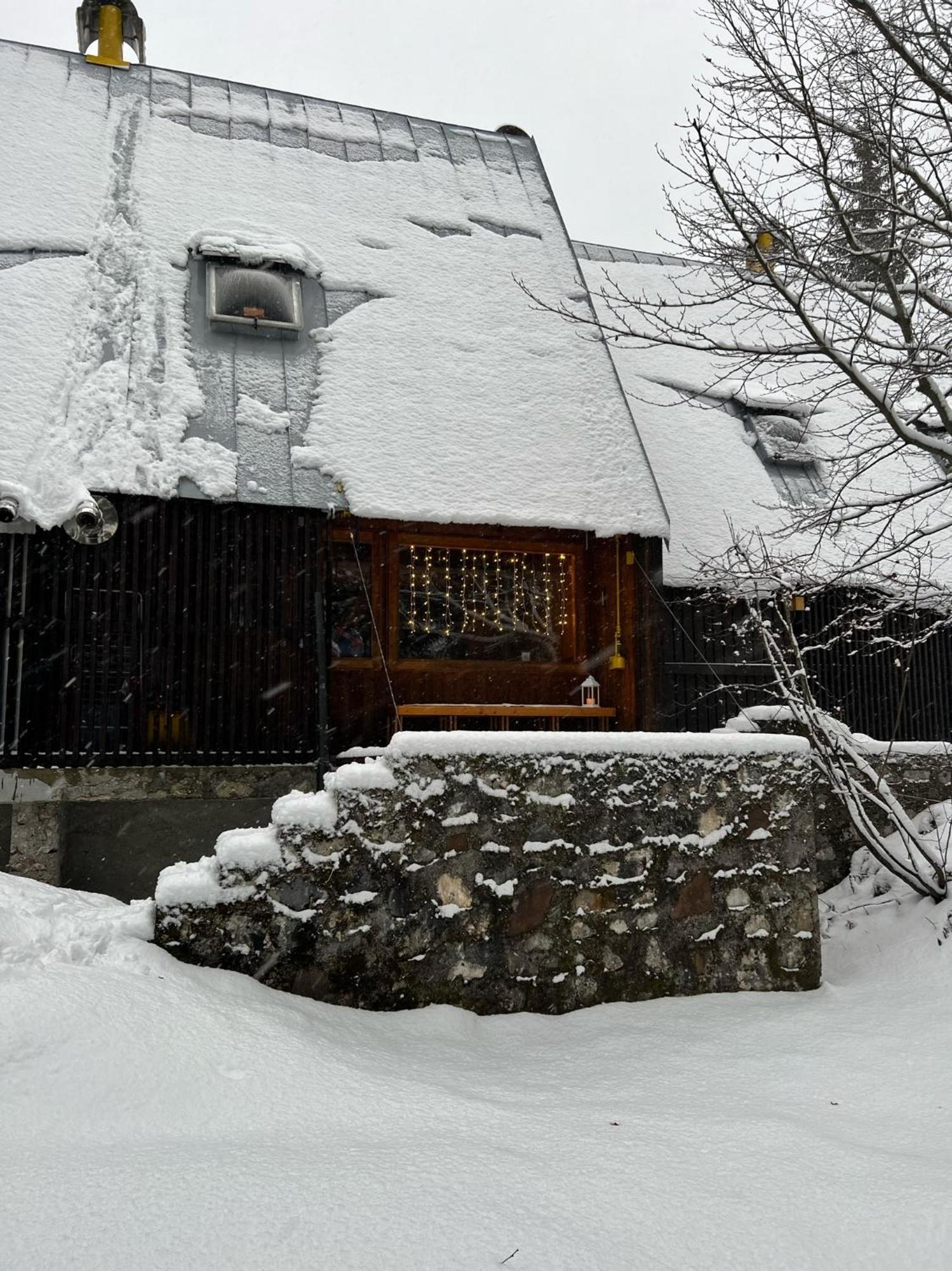 ~Chalet_Rifugio Tra I Boschi~ Sella Nevea Dış mekan fotoğraf