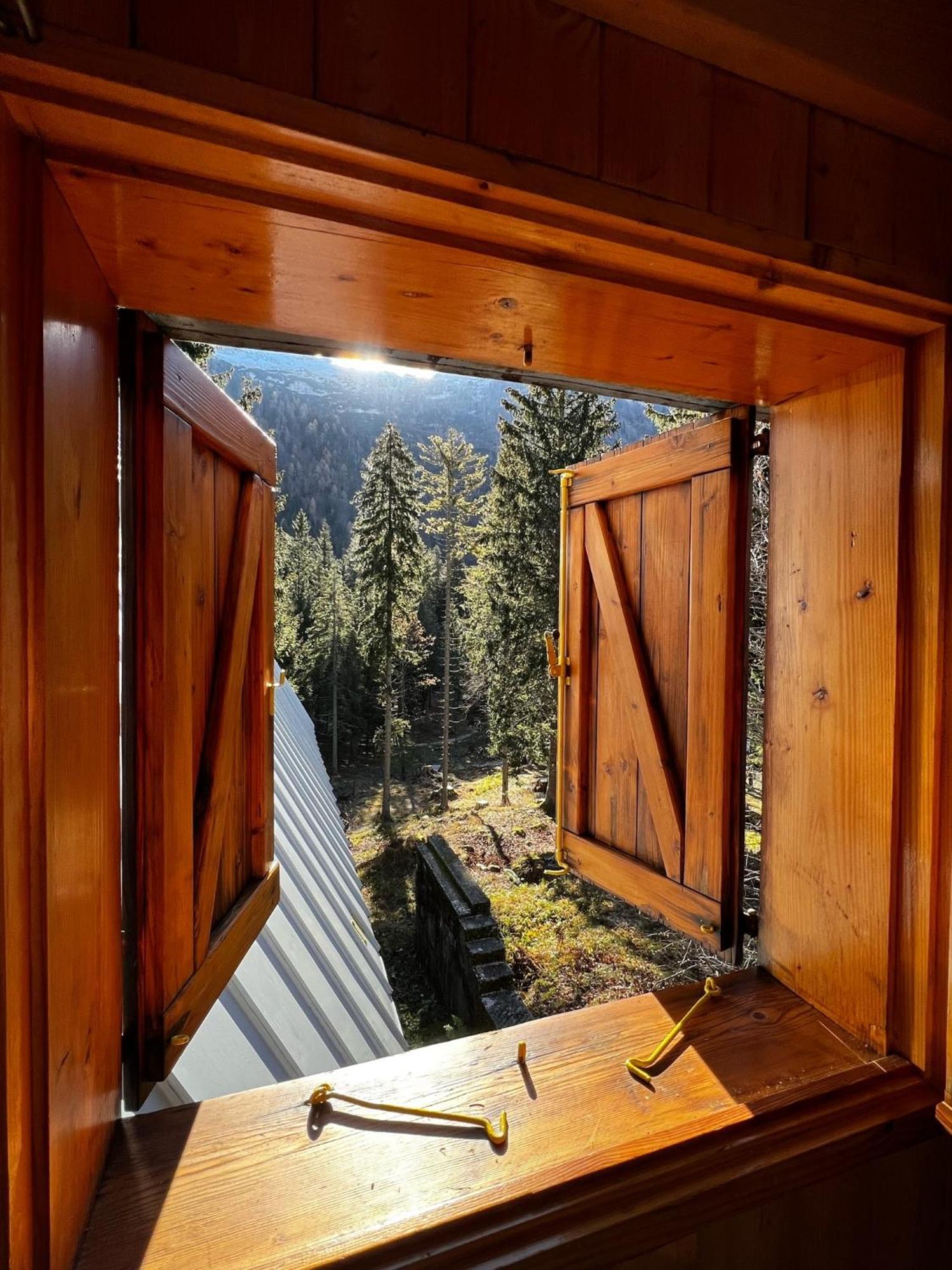~Chalet_Rifugio Tra I Boschi~ Sella Nevea Dış mekan fotoğraf